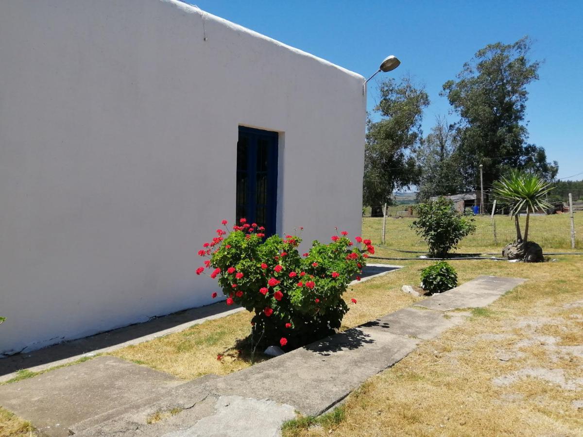 La Chacra Pension Minas Buitenkant foto